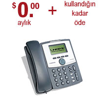 business voip pricing